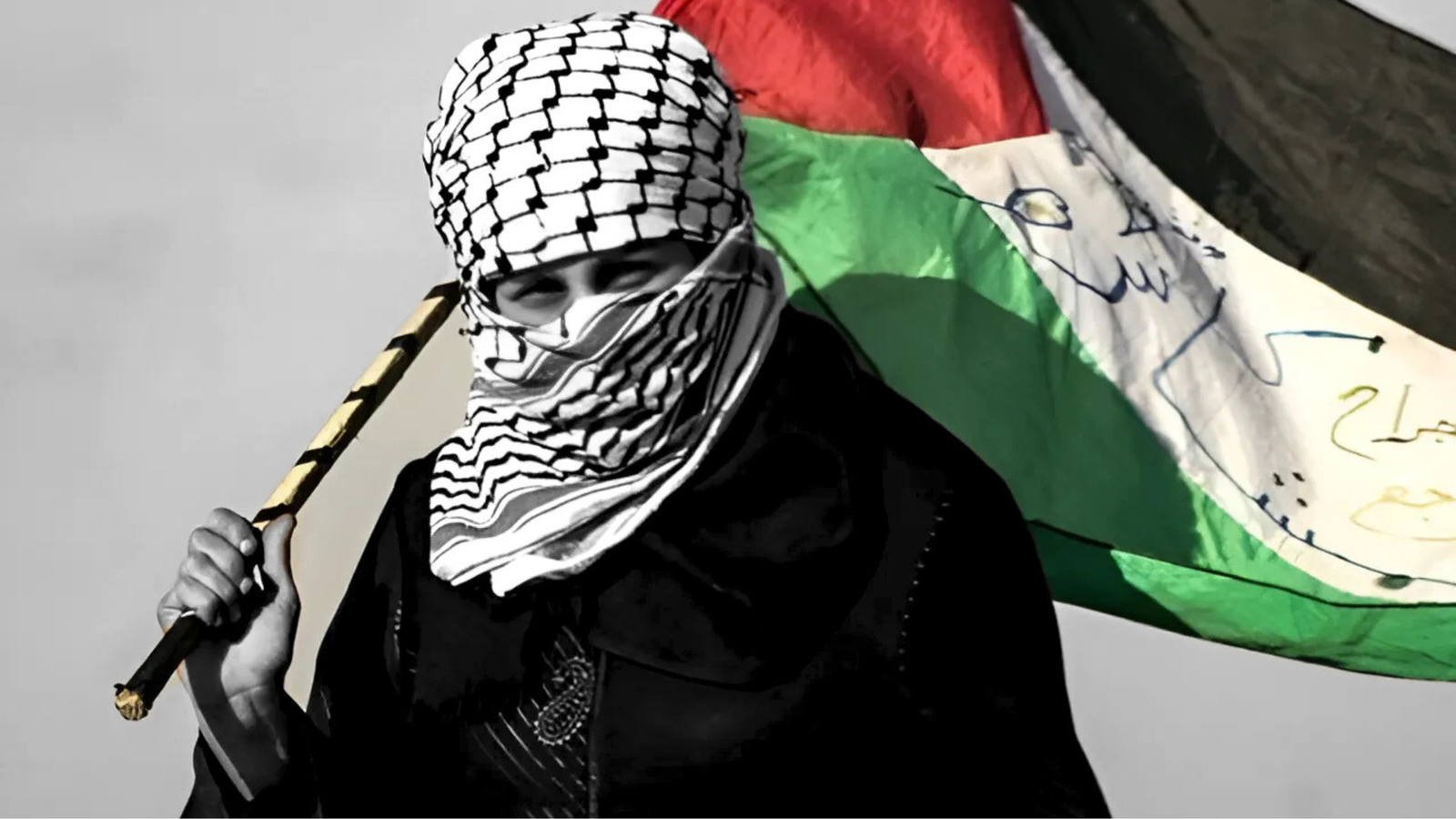 Palestine scarf wrapped around the face, flag waving in the background